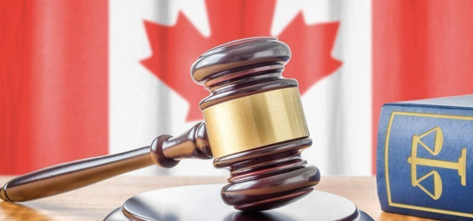 Screen Shot 2019-02-19 at 7.31.36 PM